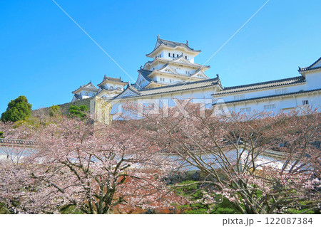 関西・姫路・姫路城・三の丸広場から眺める、桜が満開の姫路城・兵庫県姫路市(9) 関西・姫路・姫路城・三の丸広場から眺める、桜が満開の姫路城・兵庫県姫路市(9) 122087384