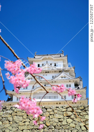 関西・姫路・姫路城・備前丸跡の広場から眺める、桜に彩られた白鷺を思わせる姫路城・兵庫県姫路市(1) 関西・姫路・姫路城・備前丸跡の広場から眺める、桜に彩られた白鷺を思わせる姫路城・兵庫県姫路市(1) 122087397
