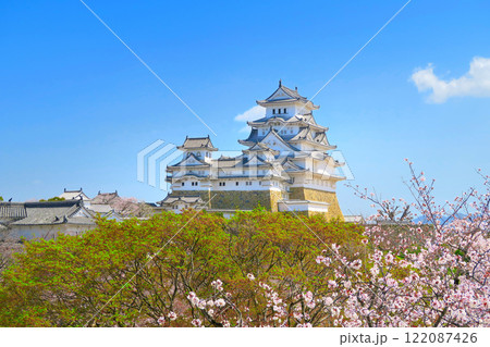 関西・姫路・姫路城・西側の渡櫓から眺める、満開の桜と姫路城の全景・兵庫県姫路市(1) 関西・姫路・姫路城・西側の渡櫓から眺める、満開の桜と姫路城の全景・兵庫県姫路市(1) 122087426