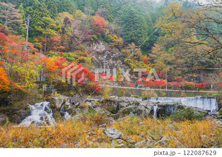 豊田市の大井平公園の展望台から見た紅葉に囲まれた井の淵の風景(愛知県) 122087629