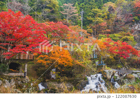 豊田市の大井平公園の展望台から見た紅葉に包まれた井の淵と展望台の風景(愛知県) 豊田市の大井平公園の展望台から見た紅葉に包まれた井の淵と展望台の風景(愛知県) 122087630
