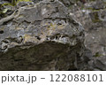 Rock formation in the forest, close-up. Stone texture 122088101