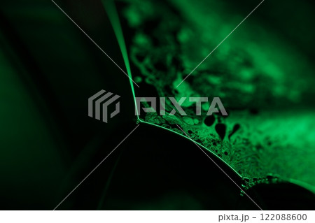 Green liquid surface, fantastic bubbles in the darkness, dark fantastic background, transparent forms, empty space, dark background Green liquid surface, fantastic bubbles in the darkness, dark fantastic background, transparent forms, empty space, dark background 122088600