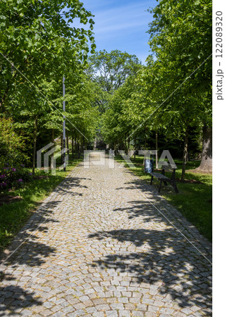 Path in a park in the spring, Zabreh, Czech republic 122089320