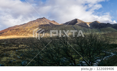 In a tranquil setting, mountains rise into the sky, illuminated by soft evening light. A stark, leafless tree stands in the foreground, adding to the serene atmosphere. In a tranquil setting, mountains rise into the sky, illuminated by soft evening light. A stark, leafless tree stands in the foreground, adding to the serene atmosphere. 122089406