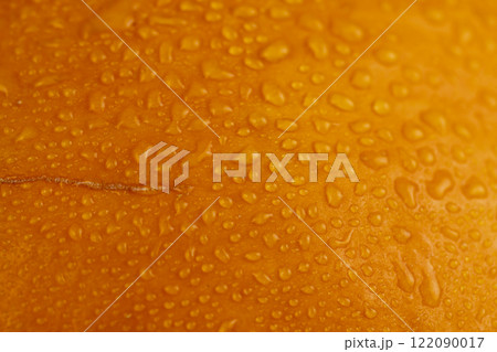 orange pumpkin wet in water close up orange pumpkin wet in water close up 122090017