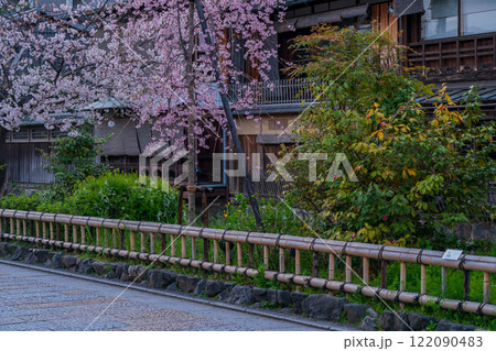 古都の春の京都市東山祇園白川のしっとりと咲く桜を撮影 122090483
