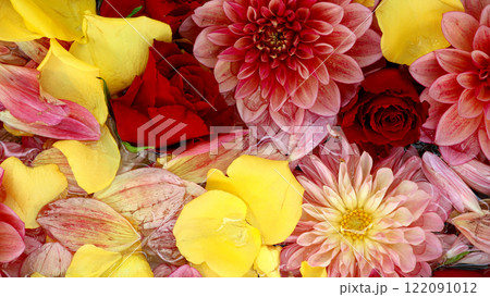 水に浮くカラフルな花を真俯瞰で撮影した背景素材用写真 122091012