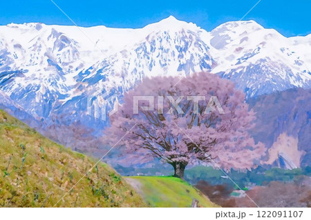 【桜素材】野平地区の一本桜と冠雪した北アルプス・イラスト調【長野県】 【桜素材】野平地区の一本桜と冠雪した北アルプス・イラスト調【長野県】 122091107