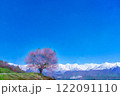 【桜素材】野平地区の一本桜と冠雪した北アルプス・イラスト調【長野県】 【桜素材】野平地区の一本桜と冠雪した北アルプス・イラスト調【長野県】 122091110
