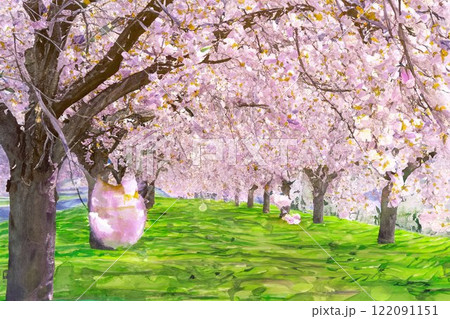 【水彩画】千曲川桜堤の桜並木・八重桜【長野県】 122091151