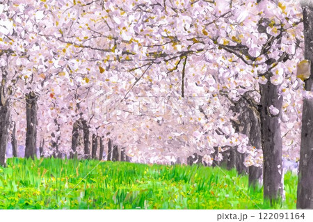 【水彩画】千曲川桜堤の桜並木・八重桜【長野県】 122091164