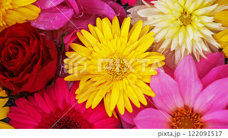 水に浮くカラフルな花を真俯瞰で撮影した背景素材用写真 水に浮くカラフルな花を真俯瞰で撮影した背景素材用写真 122091517