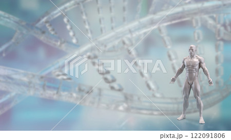The Human anatomy for medical or education concept 3d rendering. 122091806