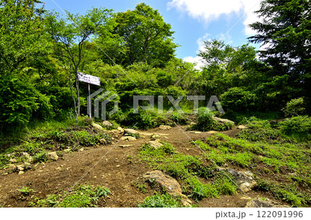 御坂山地の雪頭ヶ岳展望台 122091996
