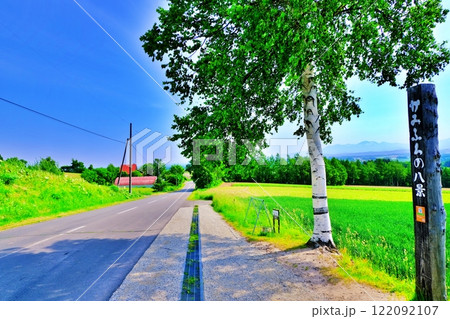 夏の北海道 上富良野町 ジェットコースターの路 122092107