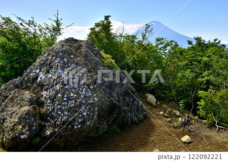 御坂山地の鬼ヶ岳山頂より望む富士山 122092221