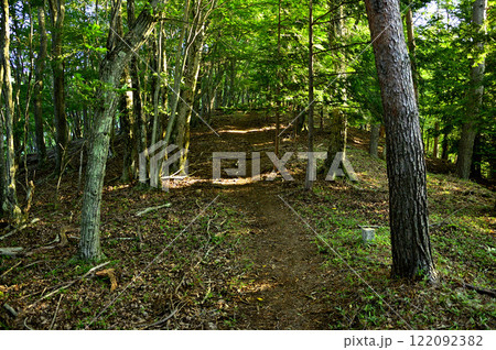 御坂山地の十二ヶ岳 森の中の登山道 四等三角点(大久保山) 御坂山地の十二ヶ岳 森の中の登山道 四等三角点(大久保山) 122092382