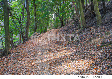 落ち葉散る冬の登山道　大吉山（仏徳山）　京都府宇治市 122093599