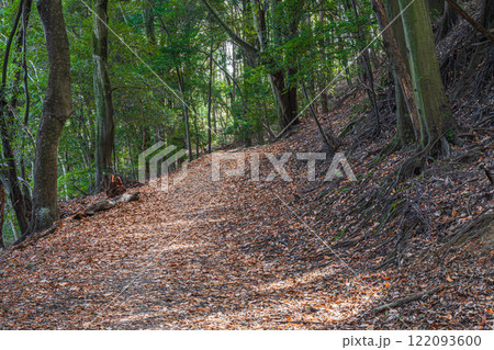 落ち葉散る冬の登山道　大吉山（仏徳山）　京都府宇治市 122093600