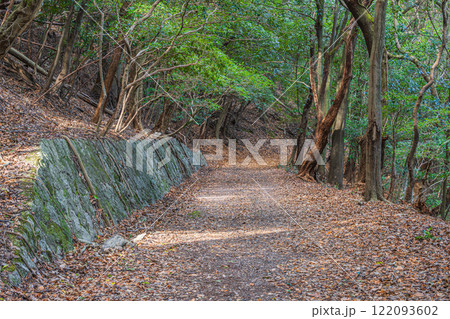 落ち葉散る冬の登山道　大吉山（仏徳山）　京都府宇治市 122093602