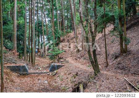 冬の大吉山(仏徳山)樹林風景 京都府宇治市 冬の大吉山(仏徳山)樹林風景 京都府宇治市 122093612