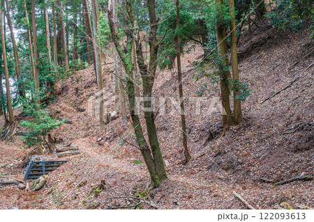 冬の大吉山(仏徳山)樹林風景 京都府宇治市 冬の大吉山(仏徳山)樹林風景 京都府宇治市 122093613