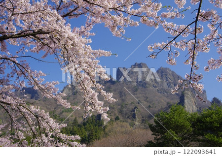 桜咲く春の妙義山 桜咲く春の妙義山 122093641