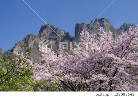 桜咲く春の妙義山 122093642