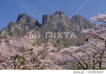 桜咲く春の妙義山 122093643