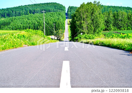 北海道旭川市の景勝地　就実の丘 122093818