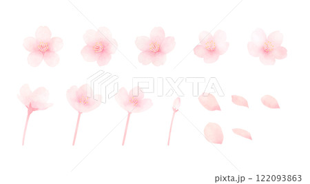 満開の桜の水彩イラストセット かわいい手描きの春の花の素材 満開の桜の水彩イラストセット かわいい手描きの春の花の素材 122093863