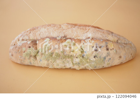 Close-Up of Moldy Bread Loaf Illustrating Food Spoilage Close-Up of Moldy Bread Loaf Illustrating Food Spoilage 122094046