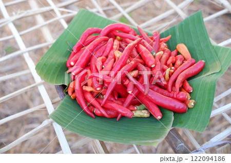 Red hot chili on banana leaf 122094186