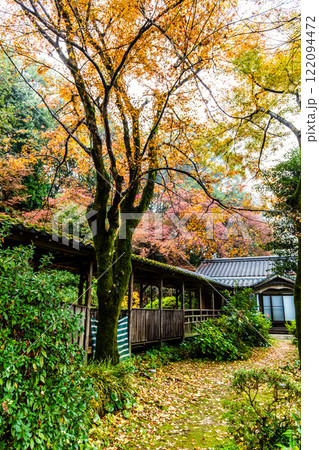 永勝寺の紅葉【福岡県久留米市】 122094472