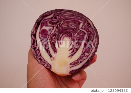A hand is holding a cross-section of a vibrant purple cabbage A hand is holding a cross-section of a vibrant purple cabbage 122094538
