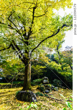清水寺 本坊庭園の紅葉【福岡県みやま市】 清水寺 本坊庭園の紅葉【福岡県みやま市】 122094579