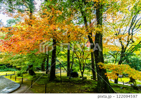 清水寺 本坊庭園の紅葉【福岡県みやま市】 清水寺 本坊庭園の紅葉【福岡県みやま市】 122094597