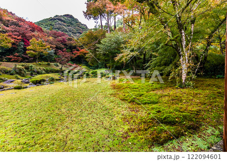 清水寺　本坊庭園の紅葉【福岡県みやま市】 122094601