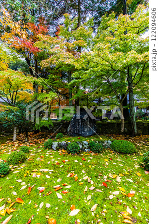 清水寺　本坊庭園の紅葉【福岡県みやま市】 122094606