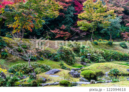 清水寺　本坊庭園の紅葉【福岡県みやま市】 122094618
