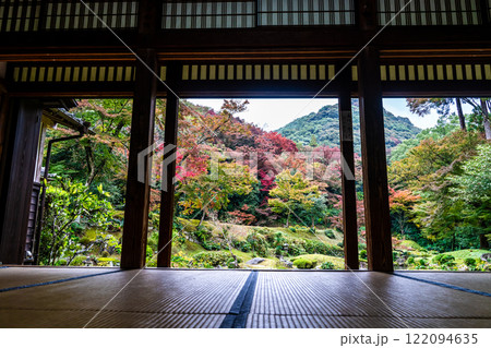 清水寺　本坊庭園の紅葉【福岡県みやま市】 122094635