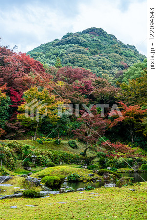 清水寺　本坊庭園の紅葉【福岡県みやま市】 122094643