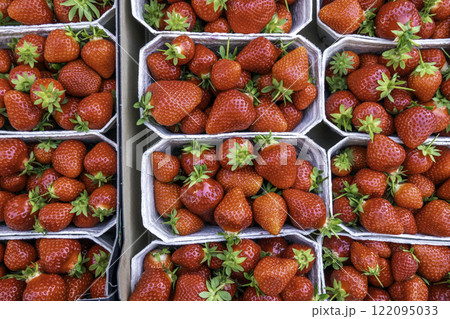 Strawberries background. Strawberry at market. Food background. 122095033