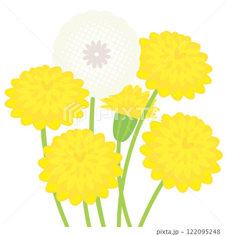 タンポポのかわいいベクターイラスト 122095248