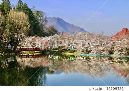 臥竜公園の桜・がりゅうこうえん（長野県・須坂市） 122095264