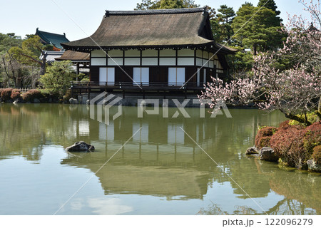 平安神宮東神苑 早春の栖鳳池【国指定名勝庭園】 平安神宮東神苑 早春の栖鳳池【国指定名勝庭園】 122096279