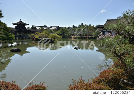 平安神宮東神苑 早春の栖鳳池【国指定名勝庭園】 平安神宮東神苑 早春の栖鳳池【国指定名勝庭園】 122096284