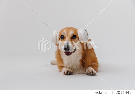 Happy corgi enjoying music with headphones, a perfect vibe for pet and tech enthusiasts alike Happy corgi enjoying music with headphones, a perfect vibe for pet and tech enthusiasts alike 122096449