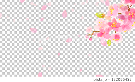 水彩櫻花樹枝和舞動花瓣的框架 水彩櫻花樹枝和舞動花瓣的框架 122096455